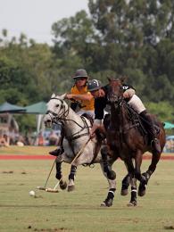 Australia v New Zealand